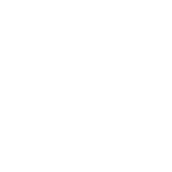 Auto Insurance