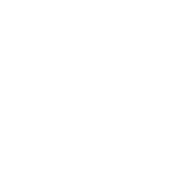 Life Insurance